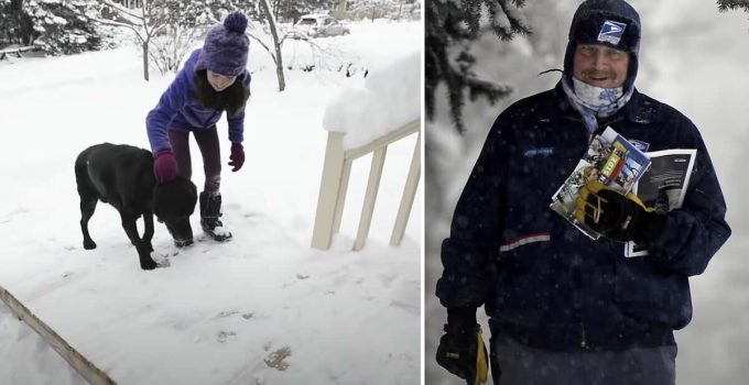 Mailman Builds Ramp for a Senior Dog On His Route After Seeing Family Struggling