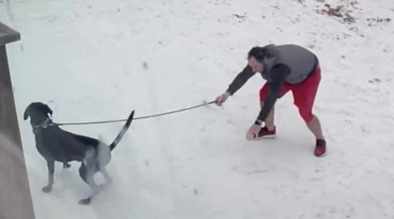 man struggles on ice