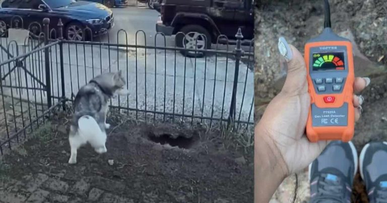 husky detects gas leak