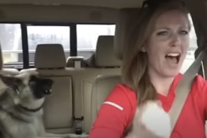 Adorable Shiloh Shepherd Sings ‘We Are The Champions’ With Her Mom