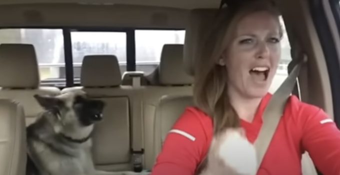 Adorable Shiloh Shepherd Sings ‘We Are The Champions’ With Her Mom