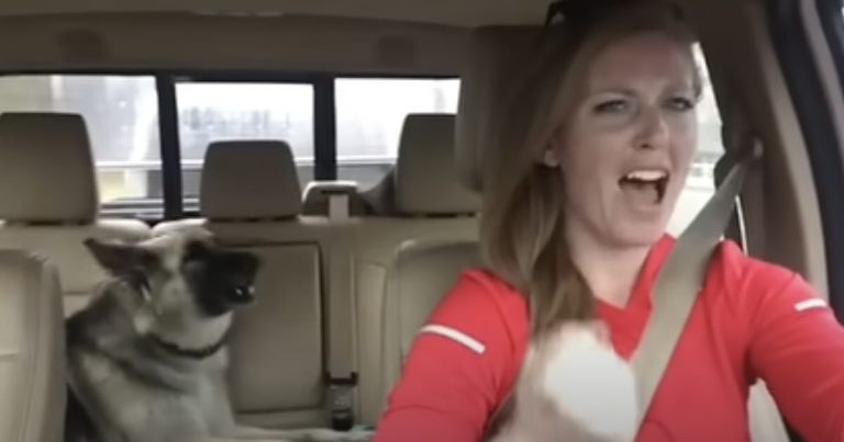 Lola Shiloh Shepherd sings Queen