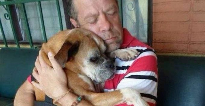 Man’s Amazing Reunion with Missing Boxer Dog He Rescued Off the Streets