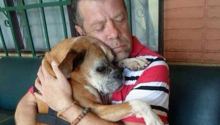 Man’s Amazing Reunion with Missing Boxer Dog He Rescued Off the Streets