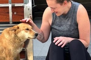 Indian Street Dog Chooses New Zealand Couple To Be Her Parents