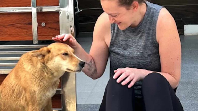 Indian Street Dog Chooses New Zealand Couple To Be Her Parents