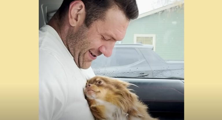 Pomeranian Just Out of Shelter Looks Adoringly At Her Rescuer