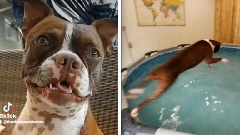 Thor gets a special pool