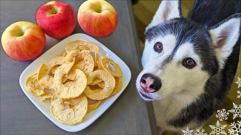 apple chips for dogs