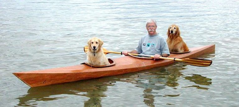 Man Builds His Dogs a Custom Kayak So They Can Go Paddling with Him