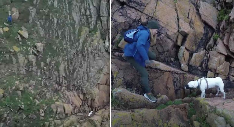 moment lost dog rescued from cliff