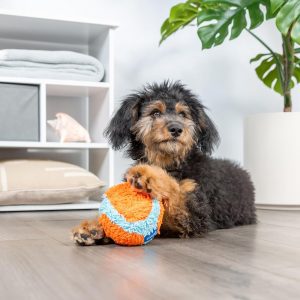 Chuckit! Indoor Fetch Ball Dog Toy