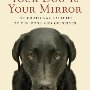Your Dog Is Your Mirror: The Emotional Capacity of Our Dogs and Ourselves