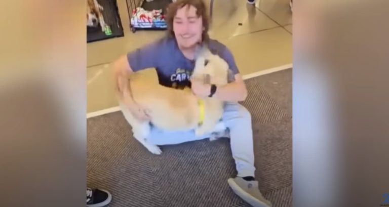 Man Reunites with Lost Dog at Pet Adoption Event in ‘Christmas Miracle’