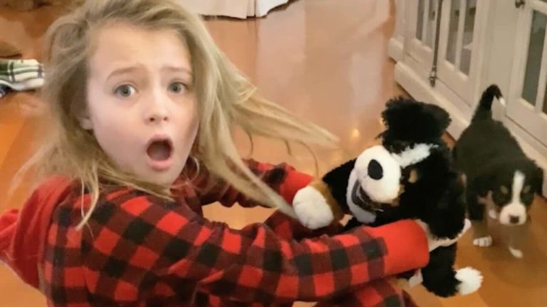 Girl gets surprise puppy
