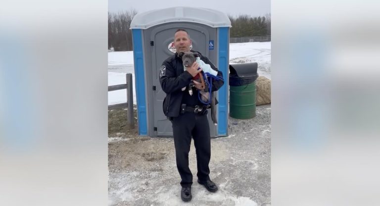 puppy found in porta potty