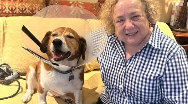 Dog and his neighbor AJ TikTok