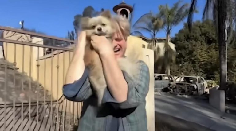 man reunites with missing dog in LA fires