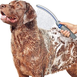 Grooming