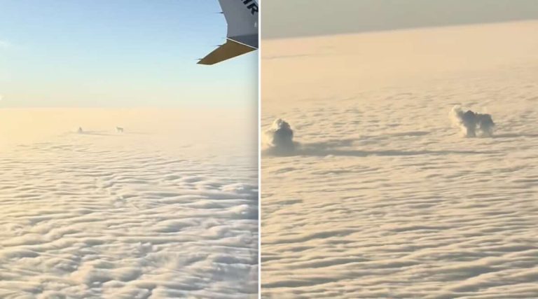 dog seen in clouds from plane