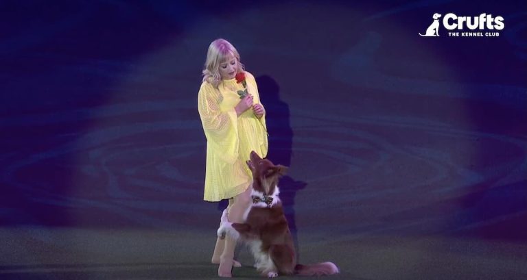 Crufts dog show 2025