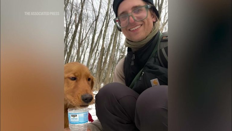 Hiker Rescues Puppy Trapped in Coal Pit After a Week Lost in Wilderness