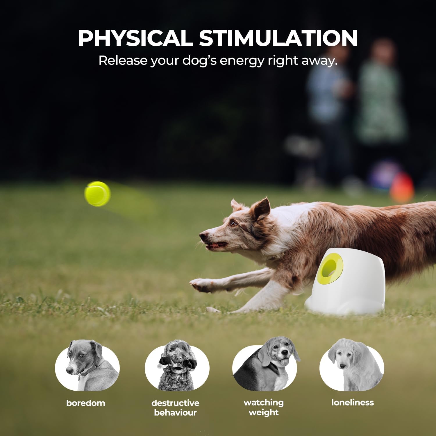 ALL FOR PAWS Automatic Dog Ball Launcher - Image 5