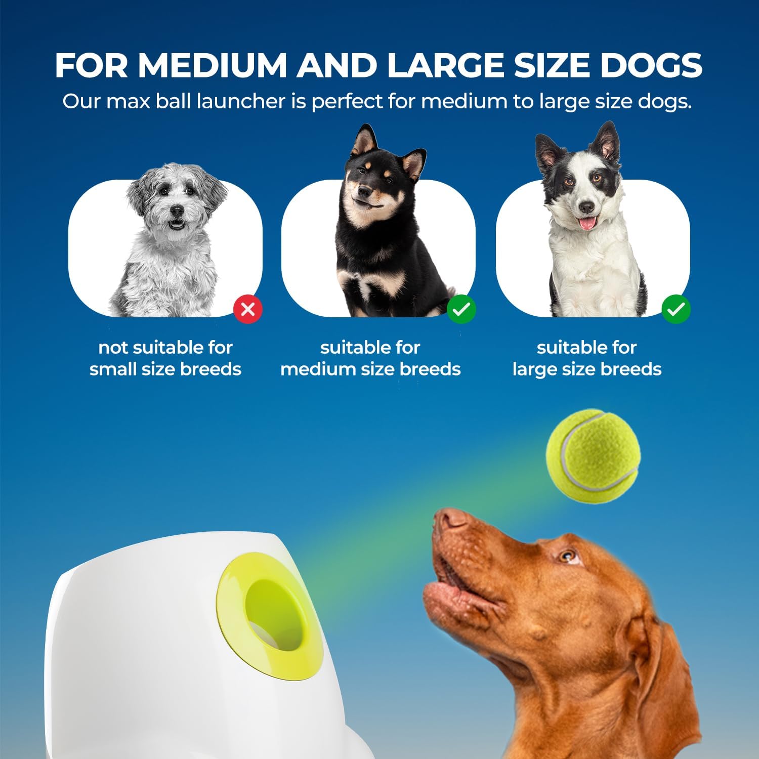 ALL FOR PAWS Automatic Dog Ball Launcher - Image 2