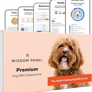 Wisdom Panel Premium Dog DNA Kit