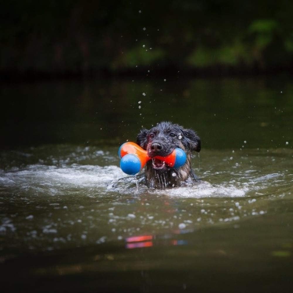 Chuckit! Amphibious Tri-Bumper Fetch Dog Toy, Medium - Image 3