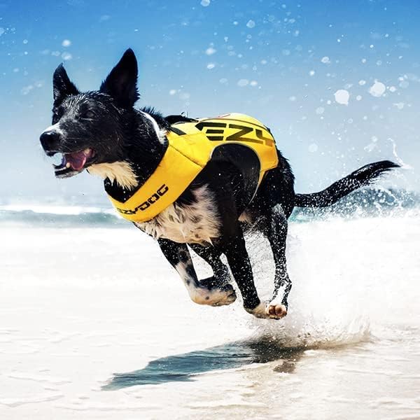 EzyDog DFD X2 Boost Dog Life Jacket - Image 3