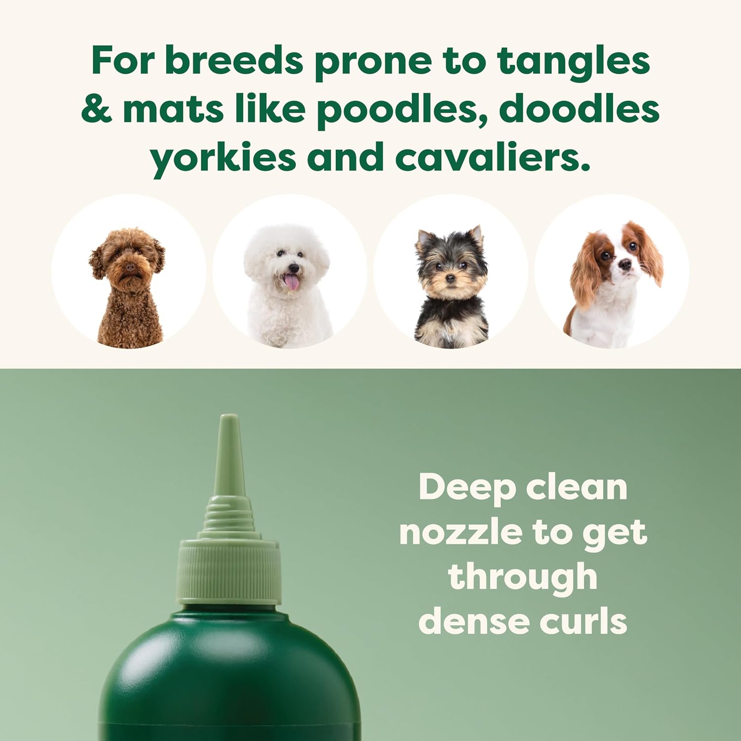 Earth Rated 3-in-1 Detangling Dog Shampoo and Conditioner, White Tea and Basil Scent, 16 oz - Image 2