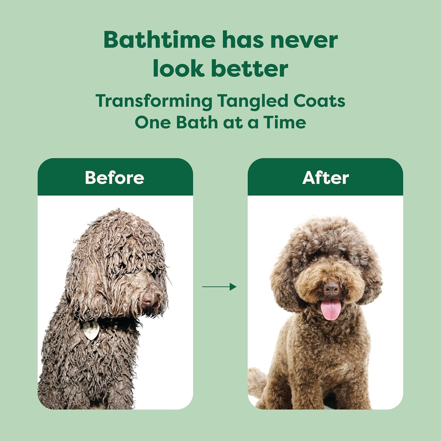 Earth Rated 3-in-1 Detangling Dog Shampoo and Conditioner, White Tea and Basil Scent, 16 oz - Image 6