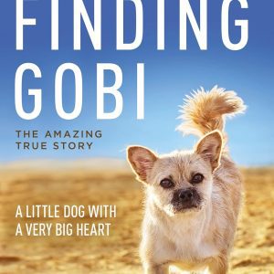 Finding Gobi: A Little Dog with a Very Big Heart