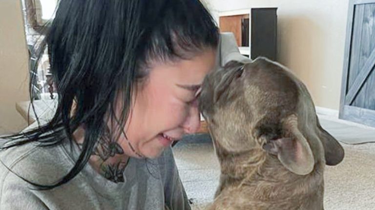 She Never Gave Up: Woman Finds Her Stolen Frenchie After 2-Year Search
