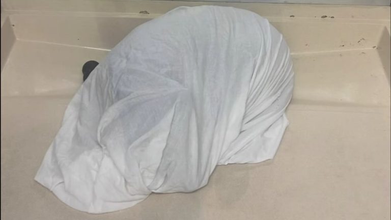 Linda under sheet at shelter
