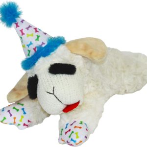 Multipet lambchop birthday