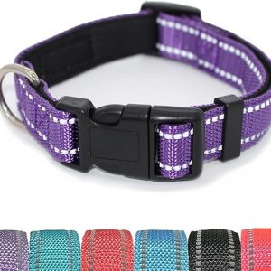 Pet & Posh Reflective Dog Collar