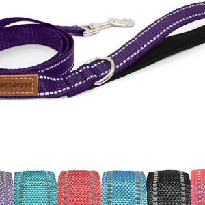 Pet & Posh Reflective Dog Leash