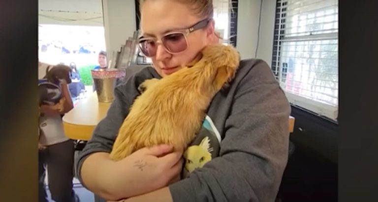 Reina leans into her rescuer