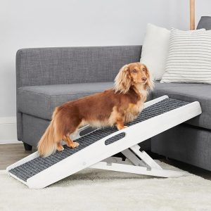 Carlson Indoor Pet Ramp