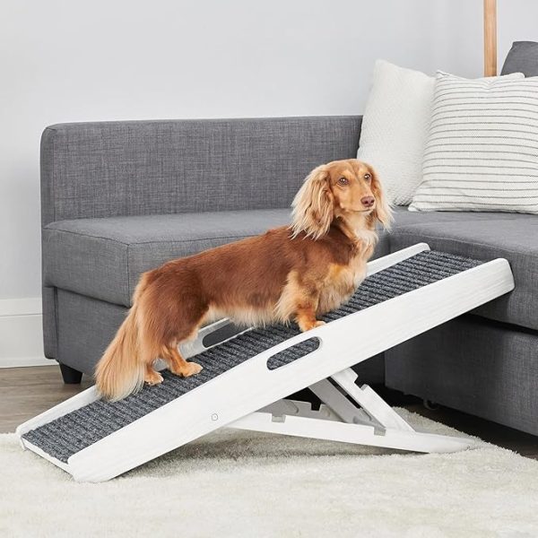 Carlson Indoor Pet Ramp