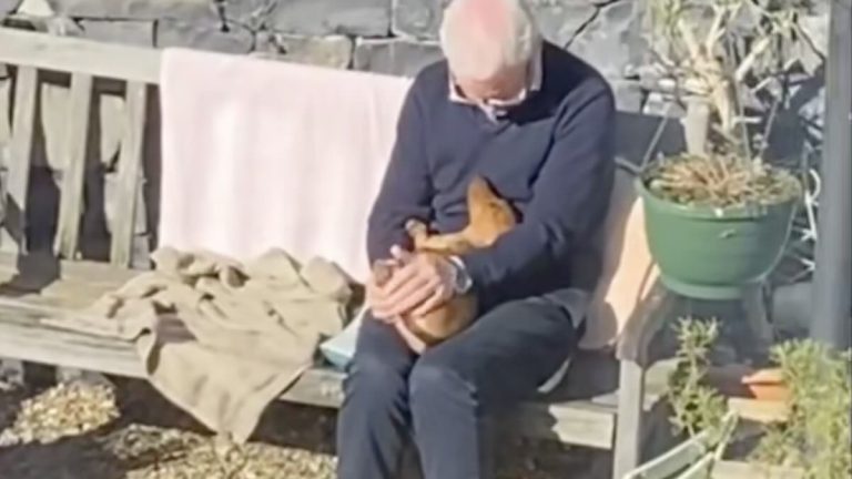 dad doting on dog he supposedly didn't want