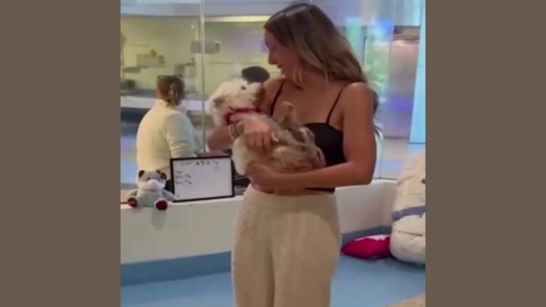 Family Thought Their Dog Was Dead for 4 Years—Then They Got an Unbelievable Call