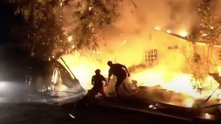 Teen Hero Rushes To Save Doberman Trapped in Backyard Inferno
