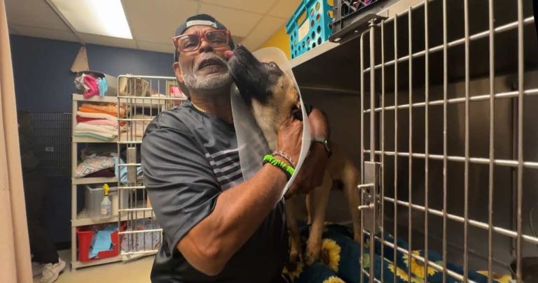 Beloved Dog Saved by Hundreds Reunites With Truck Driver Dad After Near Tragedy