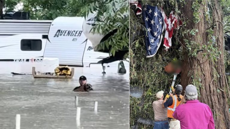 Pets recovered from floods