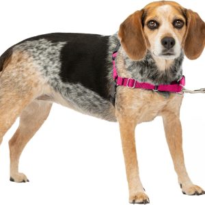 PetSafe Easy Walk No-Pull Dog Harness