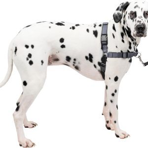 PetSafe Easy Walk Deluxe No-Pull Dog Harness
