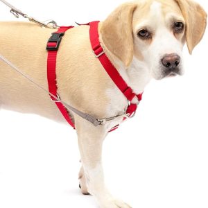 PetSafe Sure-Fit Harness – Five Point Adjustable Dog Harness